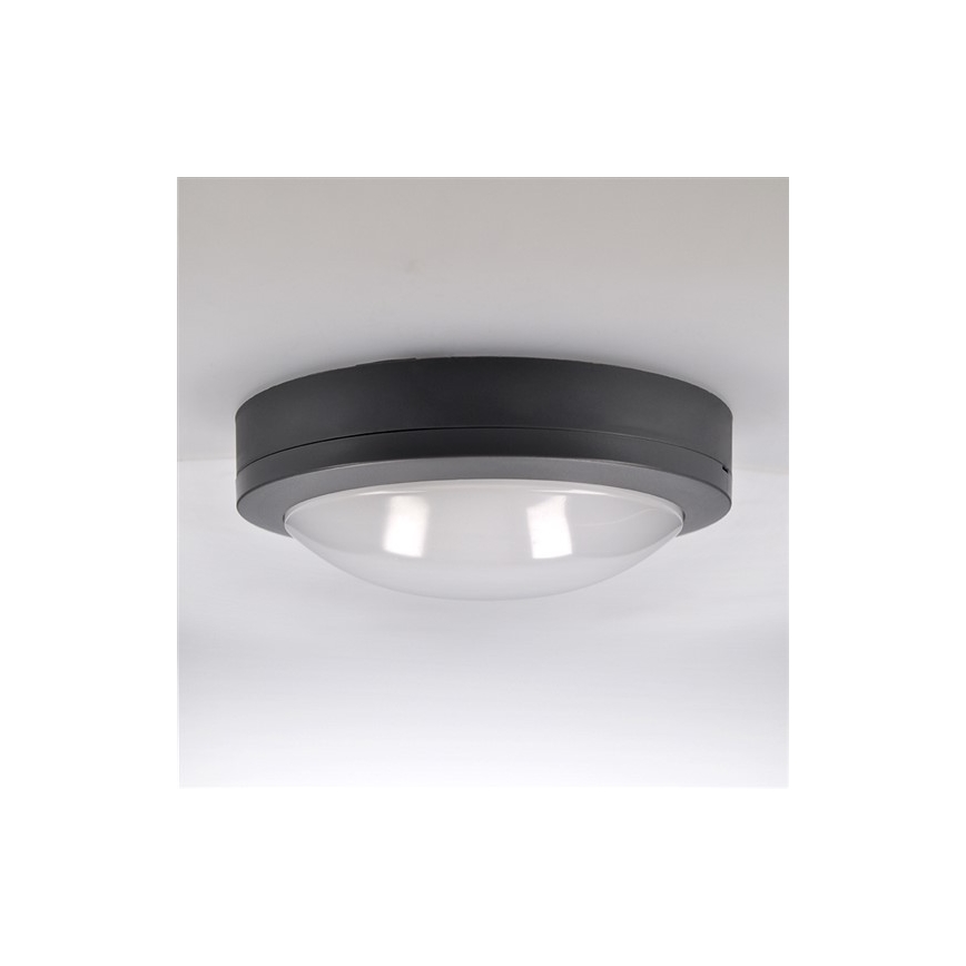 Soligth WO746 - LED Utomhus Takbelysning LED/13W/230V IP54