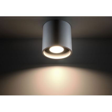 Spotlight ORBIS 1 1xGU10/10W/230V grå
