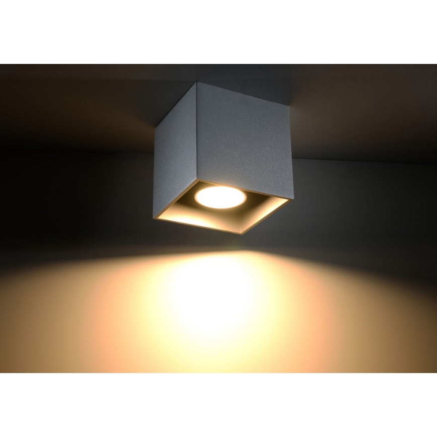 Spotlight QUAD 1 1xGU10/10W/230V grå