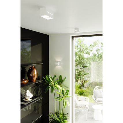 Sollux SL.0206 - Väggbelysning LOBO 1xG9/40W/230V vit