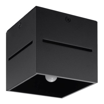 Sollux SL.0207 - Takbelysning LOBO 1xG9/40W/230V svart