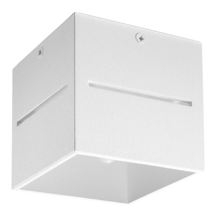Sollux SL.0209 - Takbelysning LOBO 1xG9/40W/230V vit