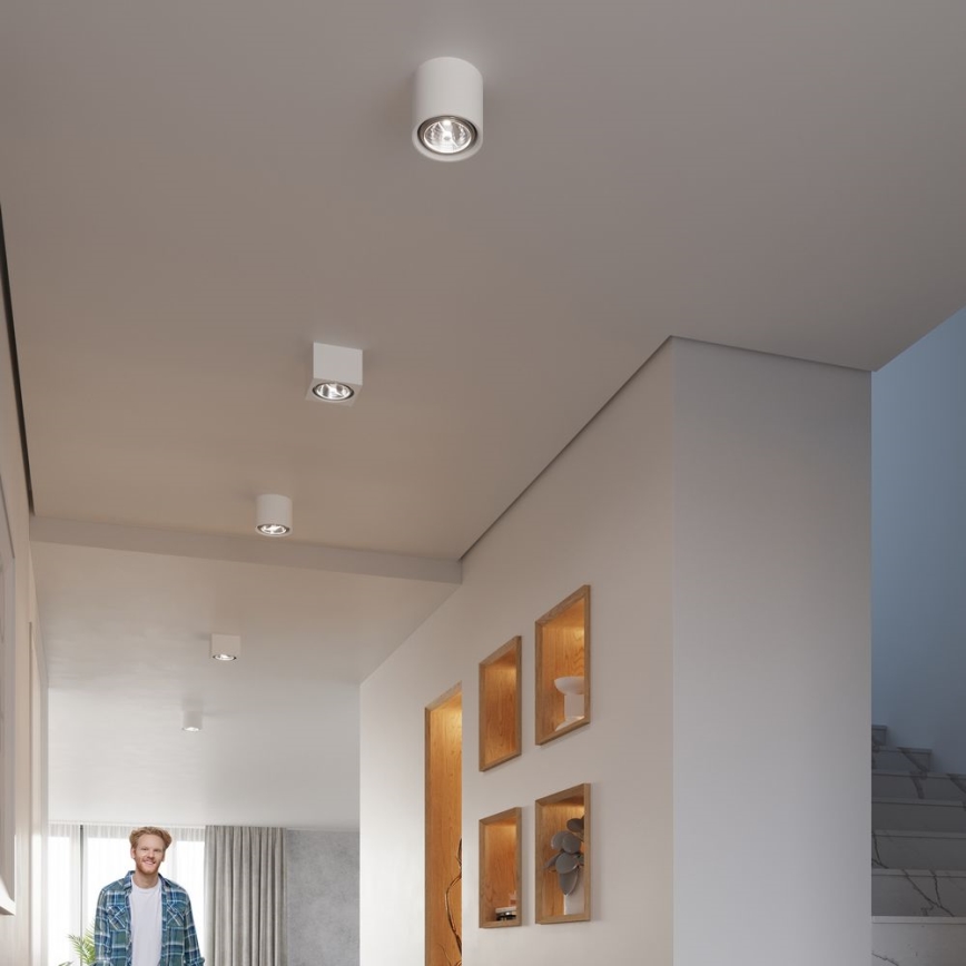 Takspot KALU 1xGU10/ES111/40W/230V