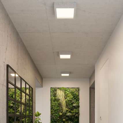 LED taklampa  RIZA LED/18W/230V konkret