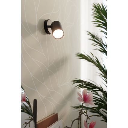 Väggspotlight LEMMI 1xGU10/40W/230V svart