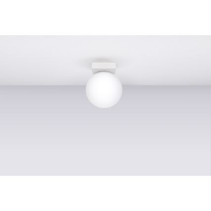 Taklampa YOLI 1xG9/12W/230V vit