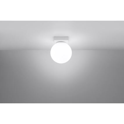 Taklampa YOLI 1xG9/12W/230V vit