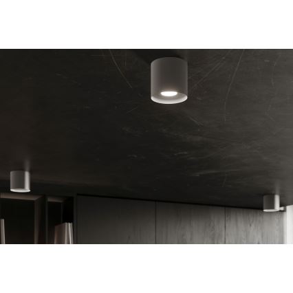 Spotlight MIKA 1xGU10/10W/230V grå