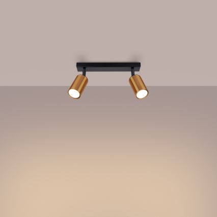 Spotlight WINX 2xGU10/10W/230V svart/koppar