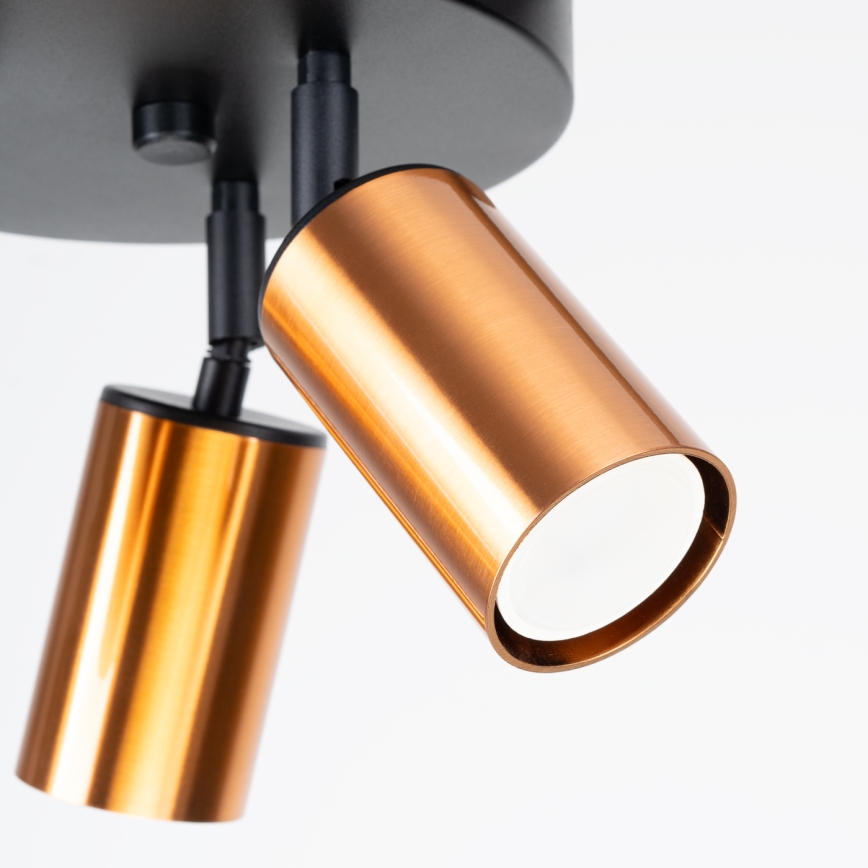 Spotlight WINX 3xGU10/10W/230V svart/koppar