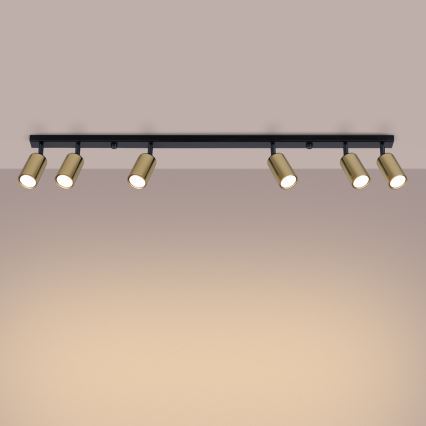 Spotlight WINX 6xGU10/10W/230V svart/guld