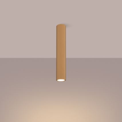 Spotlight KARBON 1xGU10/10W/230V 40 cm guld