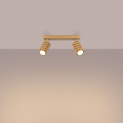 Spotlight KARBON 2xGU10/10W/230V guld