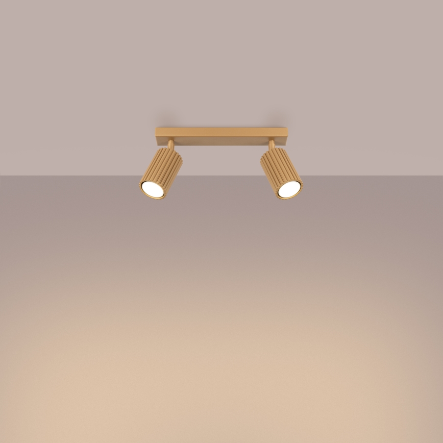 Spotlight KARBON 2xGU10/10W/230V guld