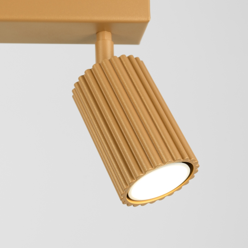 Spotlight KARBON 2xGU10/10W/230V guld