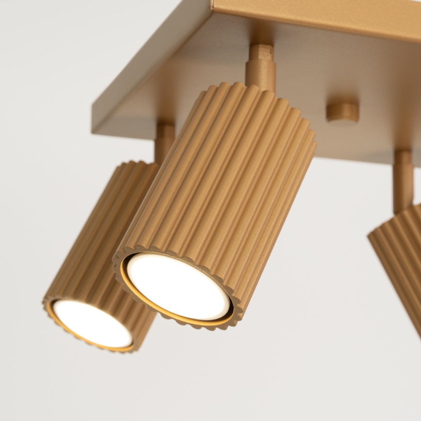 Spotlight KARBON 4xGU10/10W/230V guld