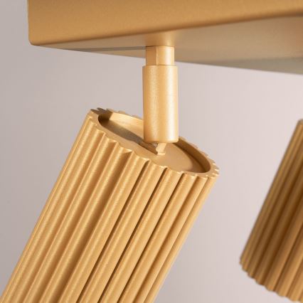Spotlight KARBON 4xGU10/10W/230V guld