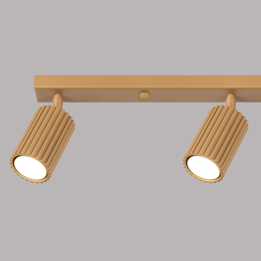 Spotlight KARBON 4xGU10/10W/230V guld