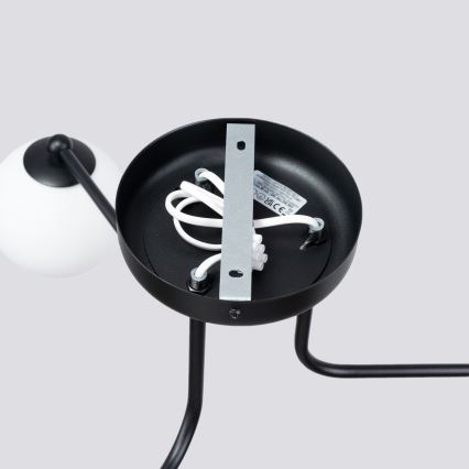 Pendelkrona ASTRAL 3xG9/8W/230V svart