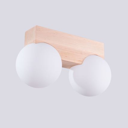 Taklampa BULBO 2xG9/8W/230V bok/vit