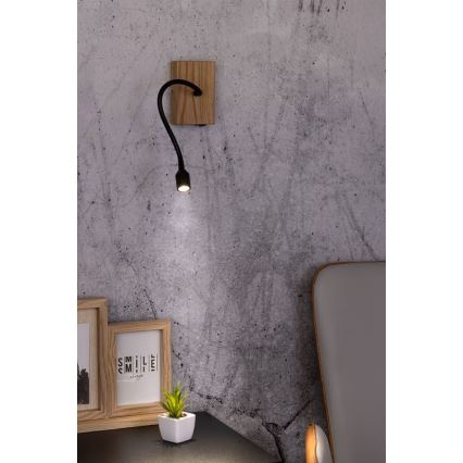 Vägglampa LECTOR LED/2,5W/230V ek – FSC certifierade