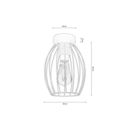Taklampa GUNNAR 1xE27/60W/230V ek