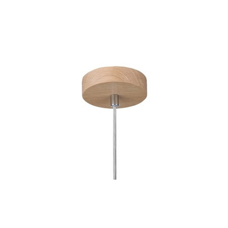 Taklampa på kabel ALESSANDRO 1xE27/60W/230V ek