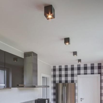 Spot-Light 2076136 - Takbelysning CEMENT DREAM  1xGU10/6W/230V betong - FSC-certifierad