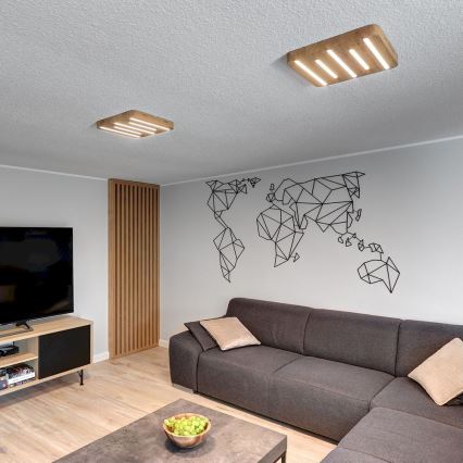 LED taklampa NEELE LED/19,5W/230V ek