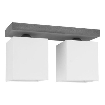 Spot-Light 2241236 - Takbelysning GREAT 2xE27/25W/230V