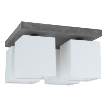 Spot-Light 2241436 - Takbelysning GREAT 4xE27/25W/230V