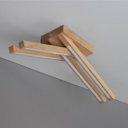 LED ytmonterad taklampa LINUS 4xLED/4,5W/230V matt ek