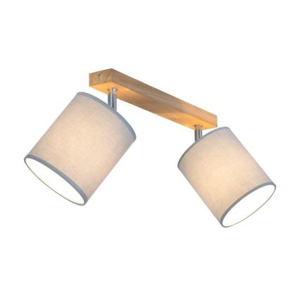 Spotlight APRILLIA 2xE27/25W/230V ekgrå ek