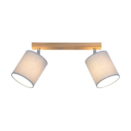 Spotlight APRILLIA 2xE27/25W/230V ekgrå ek