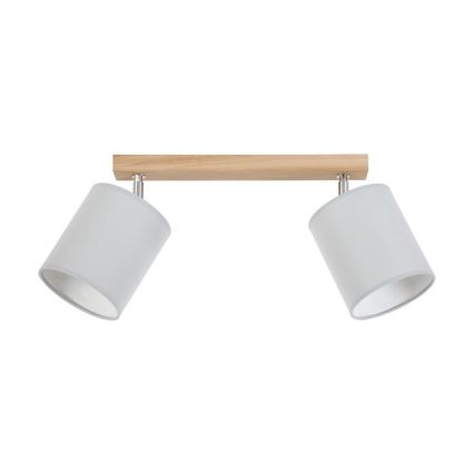 Spot-Light 56745274 - Spotlight APRILLIA 2xE27/25W/230V ek grå
