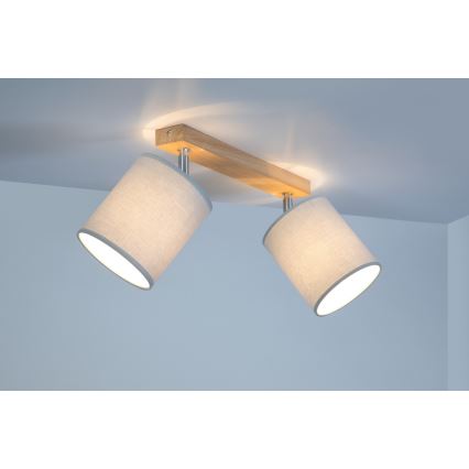 Spot-Light 56745274 - Spotlight APRILLIA 2xE27/25W/230V ek grå