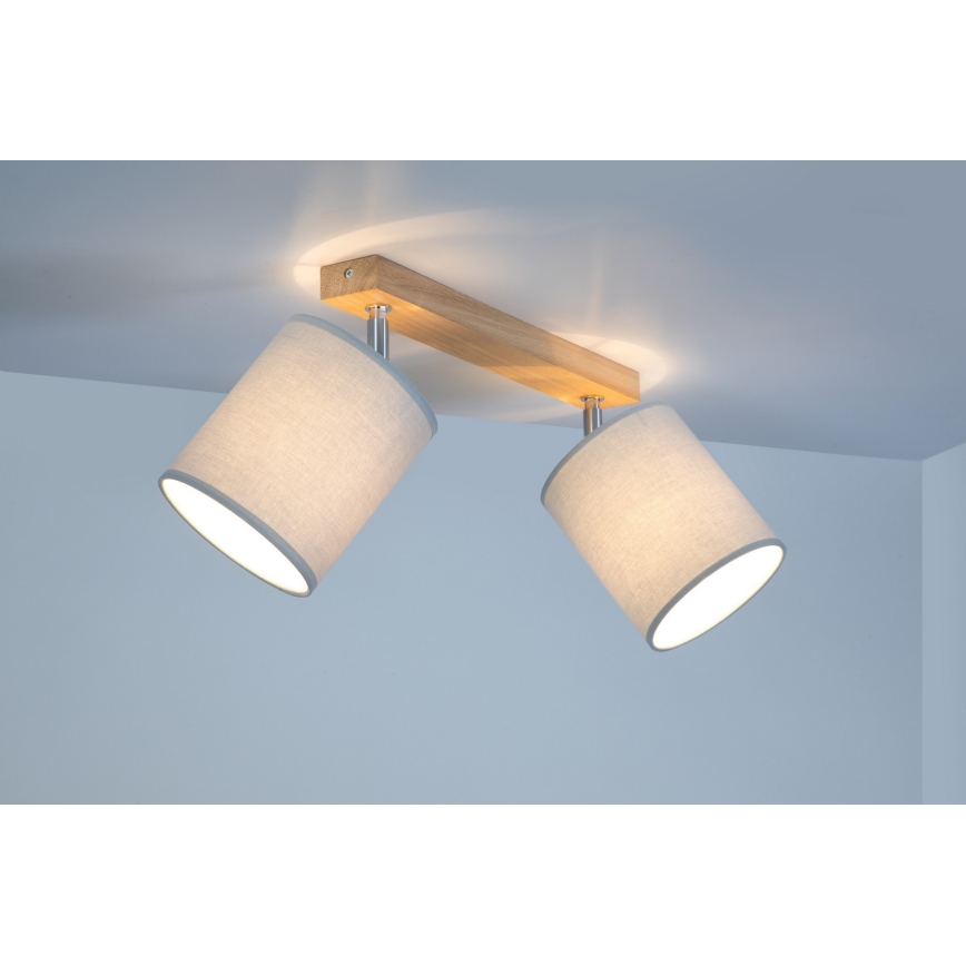 Spot-Light 56745274 - Spotlight APRILLIA 2xE27/25W/230V ek grå