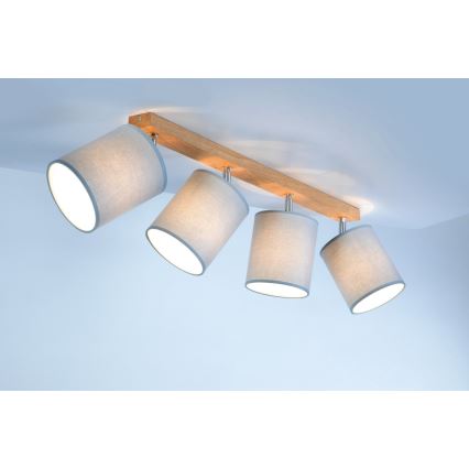 Spot-Light 56745474 - Spotlight APRILLIA 4xE27/25W/230V ek grå