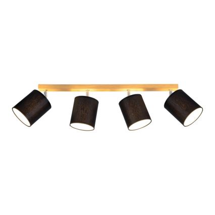 Spot-Light 56746474 - Spotlight APRILLIA 4xE27/25W/230V ek svart