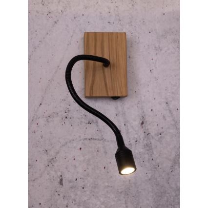 LED-vägglampa LECTOR LED/2,5W/230V ek