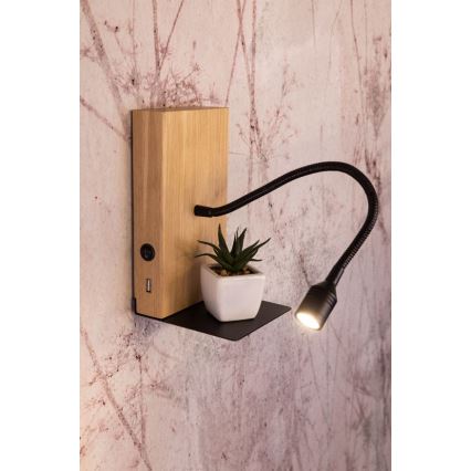 LED väggbelysning LECTOR LED/2,5W/230V USB ek