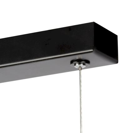 Spot-Light 69480104 - Dimbar LED-lampakrona med snöre LUCAS LED/25,5W/230V