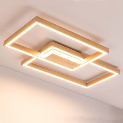 Dimmbar LED-taklampa RAMME LED/48W/230V matt ek + fjärrkontroll