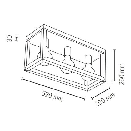 Spot-Light 9154374 - Takbelysning KAGO 3xE27/60W/230V matt ek