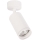 Spotlampa PIPE 1xGU10/10W/230V vit