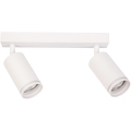 Spotlampa PIPE 2xGU10/10W/230V, vit