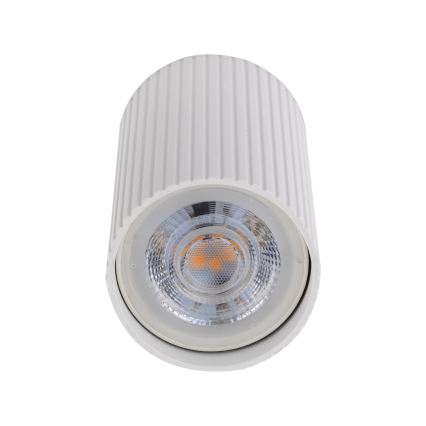 Spotlampa TUNE S 1xGU10/10W/230V 10 cm vit