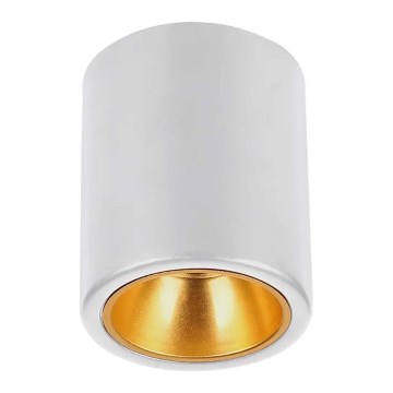 Spotlight 1xGU10/35W/230V rund vit