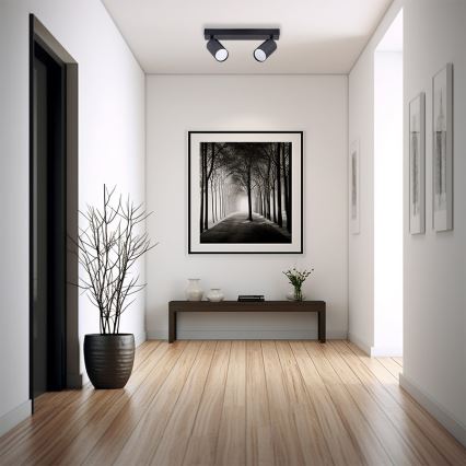 Spotlight 2xGU10/35W/230V svart
