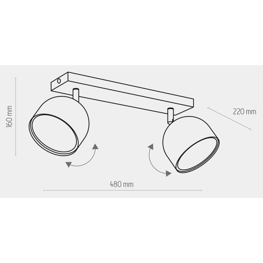 Spotlight ALTEA 2xAR111 GU10/50W/230V svart